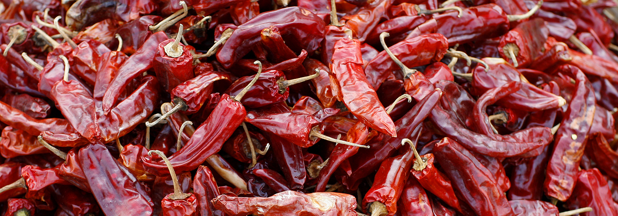 Red-Chilies-DRY-pic